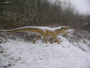 Dinosaurierpark Mnchehagen