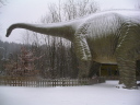 Dinosaurierpark Mnchehagen