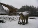 Dinosaurierpark Mnchehagen