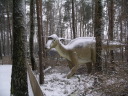 Dinosaurierpark Mnchehagen