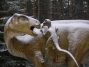 Dinosaurierpark Mnchehagen