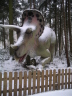 Dinosaurierpark Mnchehagen