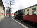 Harzer Schmalspurbahnen: Brockenbahn