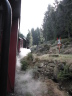 Harzer Schmalspurbahnen: Brockenbahn